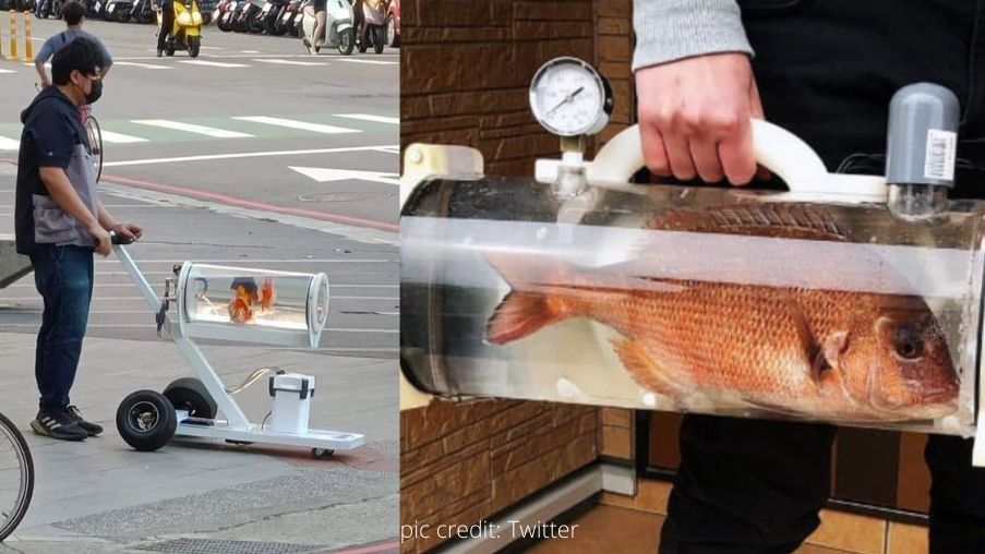 VIRAL NEWS: Fish Pram చేపలకి వాకింగ్ చేయిస్తున్న యువకుడు.సెటప్ చూస్తే ఆశ్చర్యపోతారు..