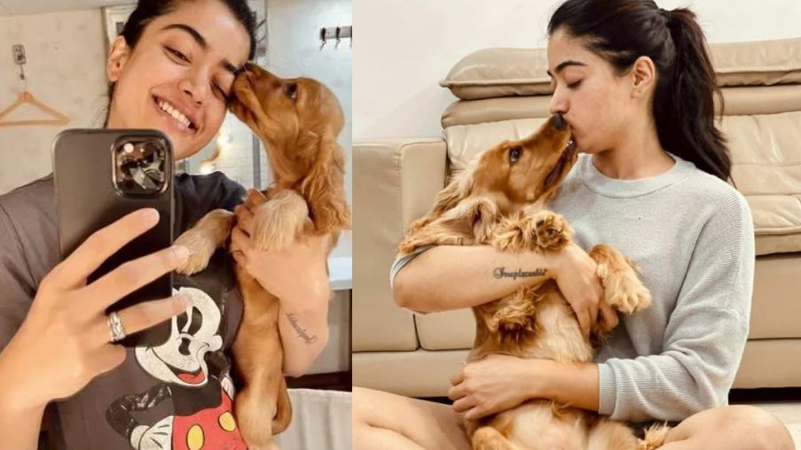 రష్మిక కుక్కకి కూడా ఫ్లయిట్ టికెట్స్ బుక్ చేయమని నిర్మాతని అడిగిందా? స్పందించిన రష్మిక..
