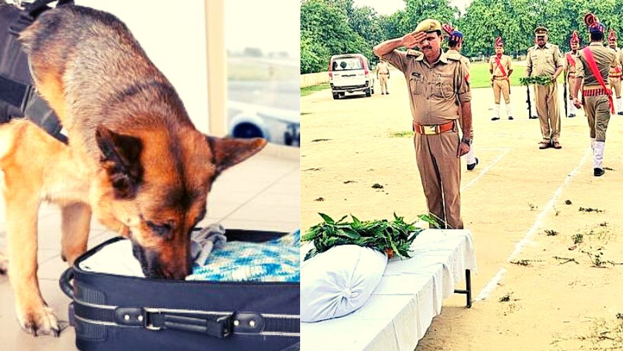 స్నిఫర్ డాగ్ కి కన్నీటి వీడ్కోలు, సకల లాంఛనాలతో సాగనంపిన యూపీ పోలీస్
