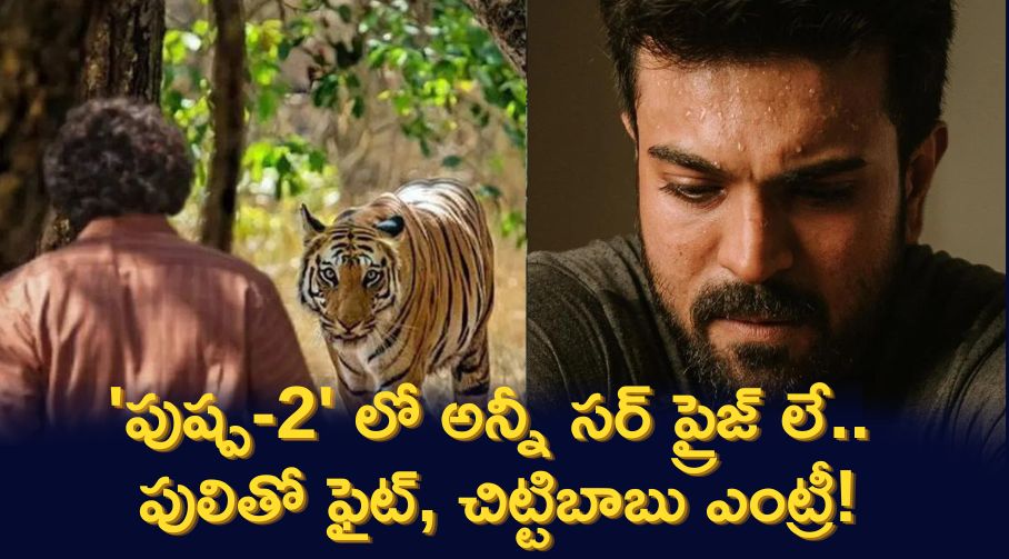 ‘పుష్ప-2’ లో అన్నీ సర్ ప్రైజ్ లే.. పులితో ఫైట్, చిట్టిబాబు ఎంట్రీ!