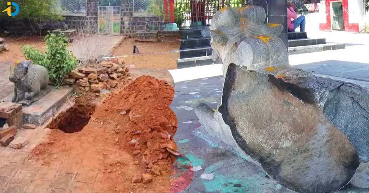 నంది కడుపులో వజ్రాలంటూ ప్రచారం.. గొయ్యి తీసి..