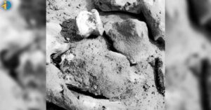 A pile of skeletons in the doctor's house!