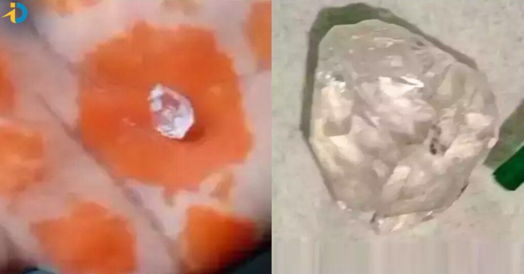 Costly daimond caught by farmer