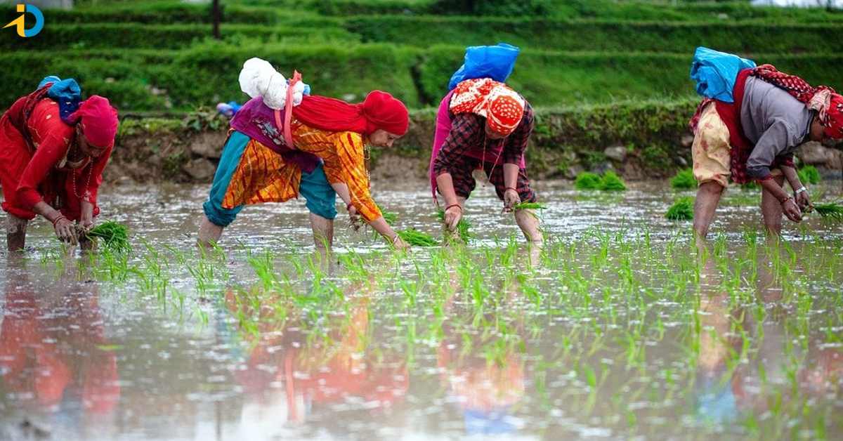 12000 for women farmers