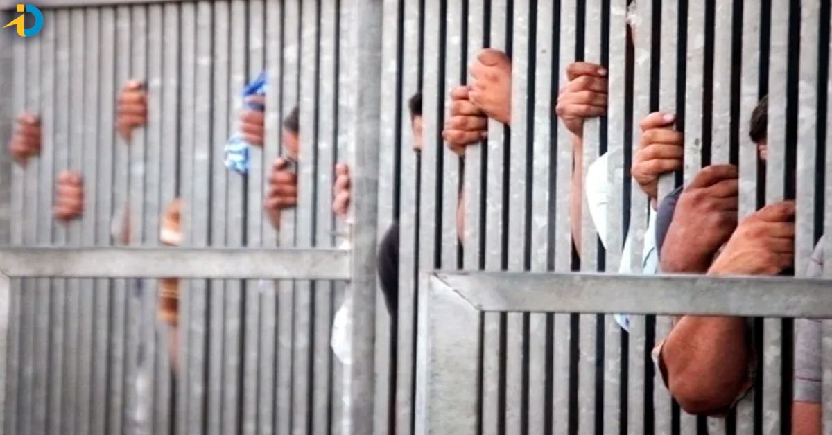 Amnesty to 231 prisoners