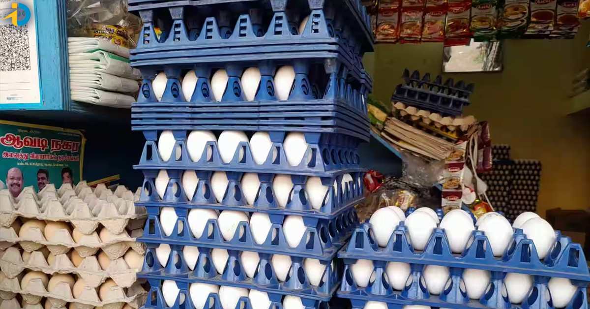 Hugely increased egg prices!