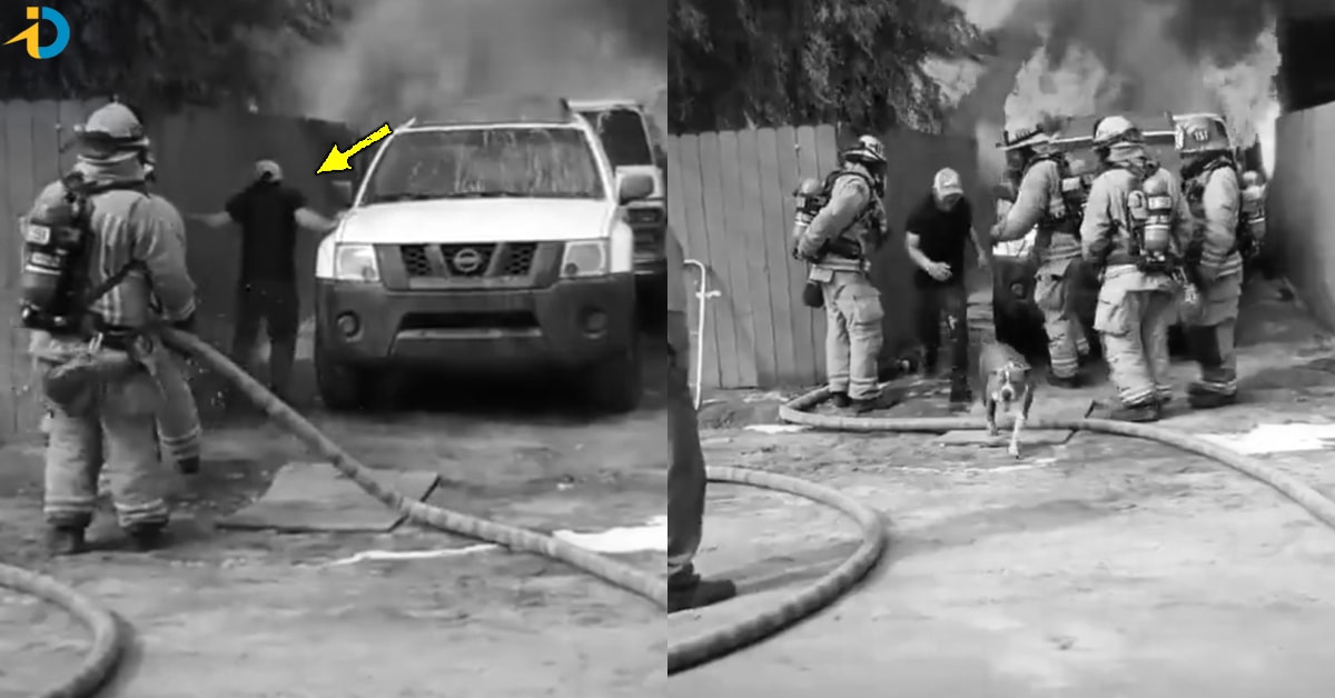 వీడియో: ప్రాణాలకు తెగించి శునకాన్ని కాపాడిన యువకుడు!