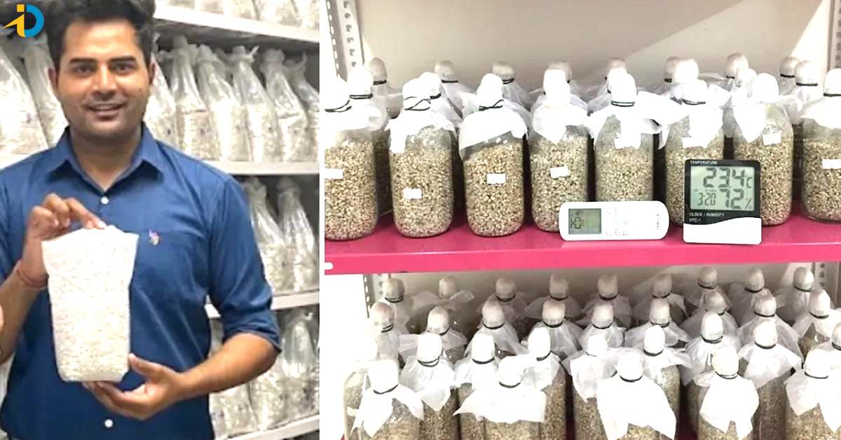 mba drop out earning 13lakhs per month