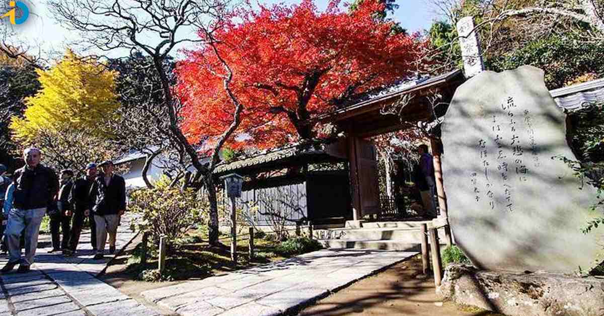 Divorce is sure if you plant in this temple