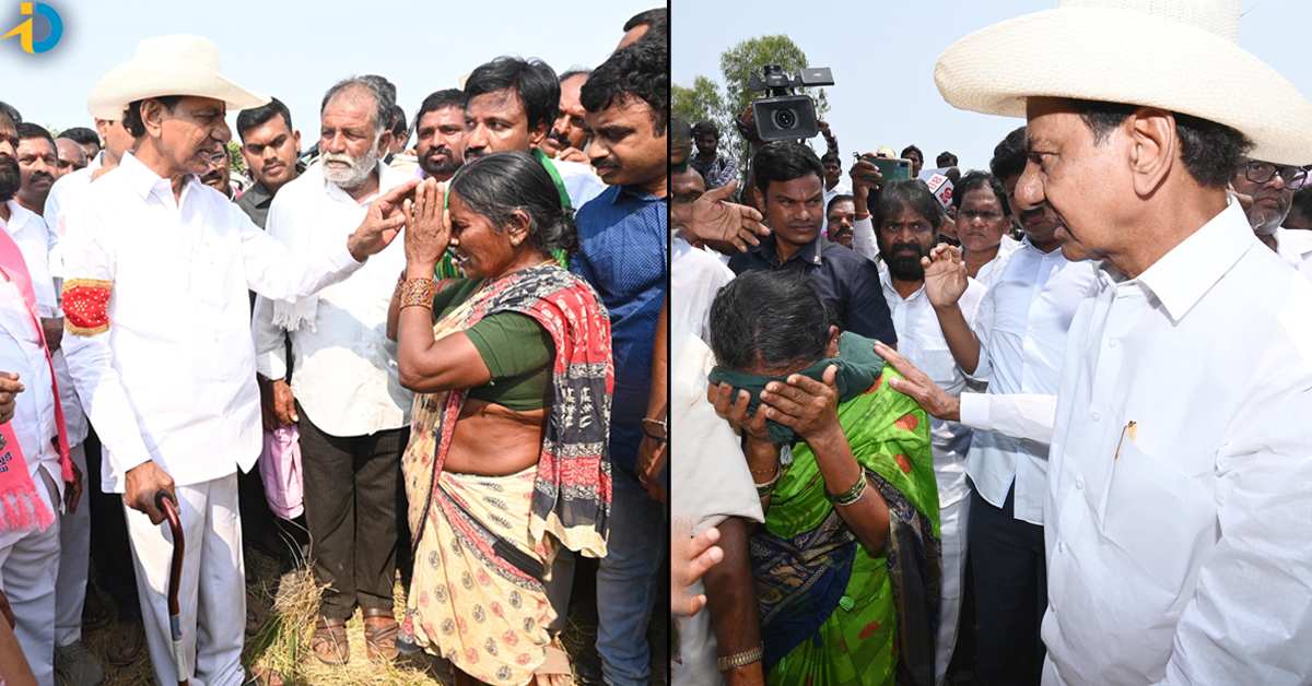 Financial assistance of lakhs of rupees to women farmers