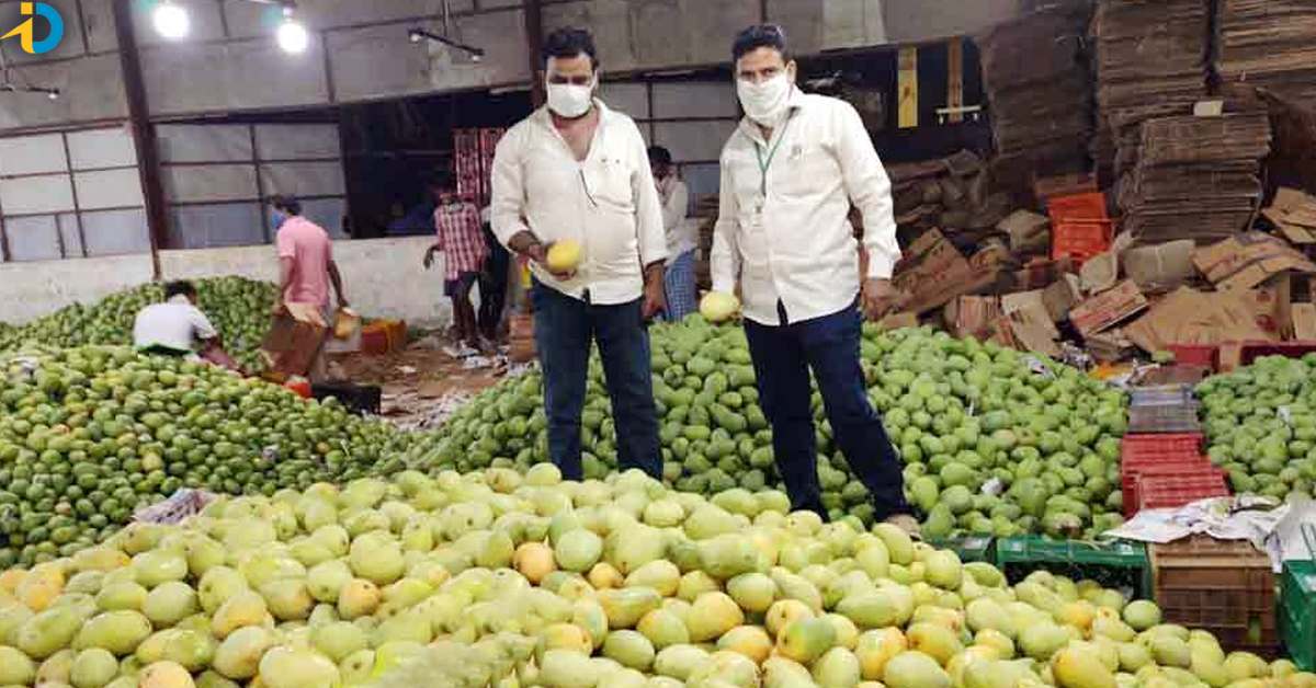 Mangoes