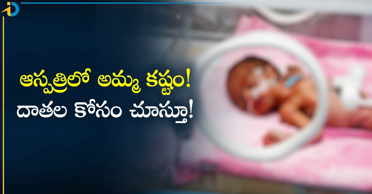 లేటెస్ట్ న్యూస్ అప్డేట్ - ShareChat