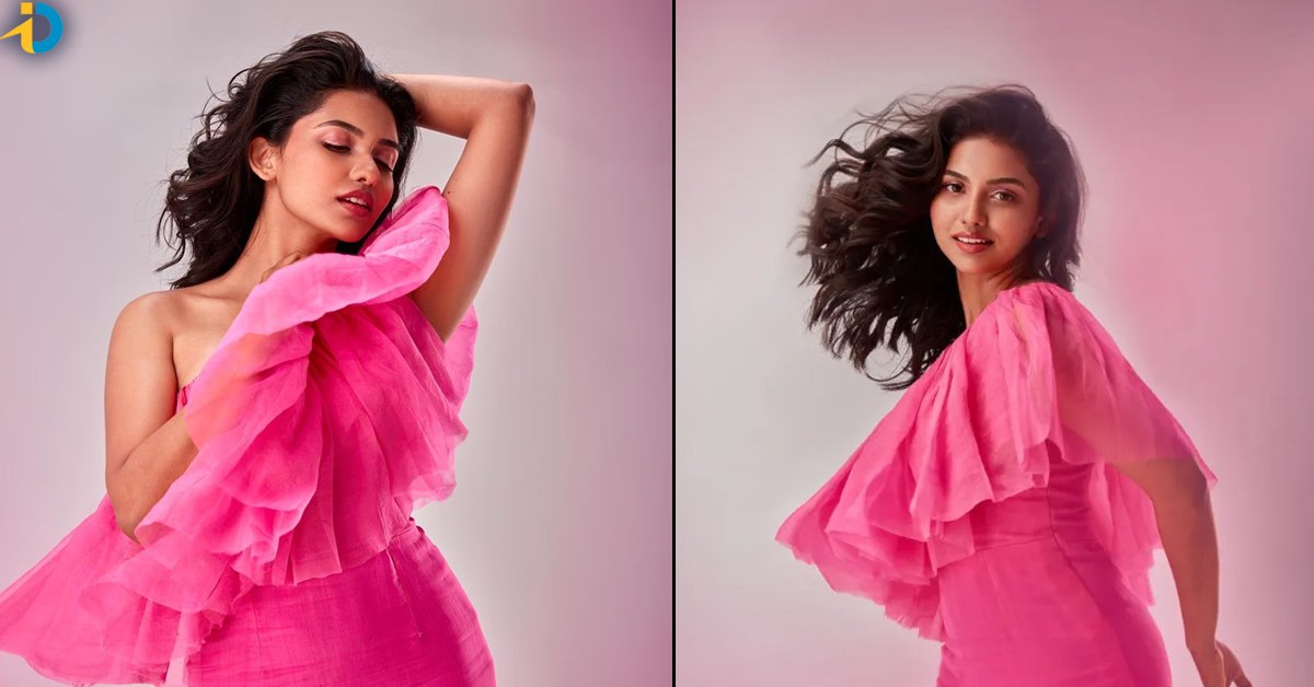 Premalu heroine with increased remuneration