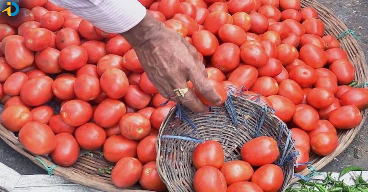 Tomato rates incresed