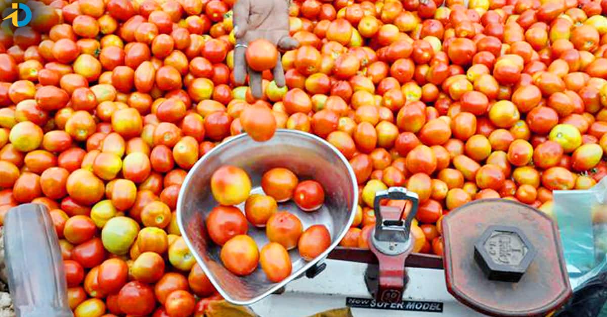Tomato Prices: భారీగా పెరుగుతున్న టమాటా ధరలు.. కిలో ఎంతో తెలుసా