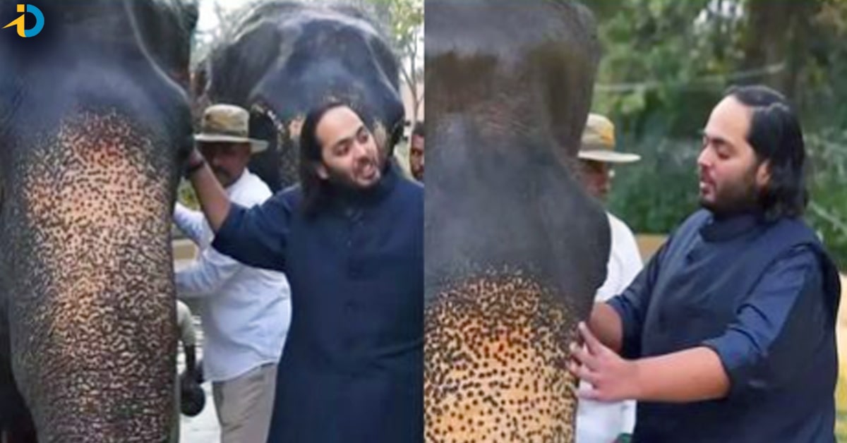 You must know about anant ambani greatness