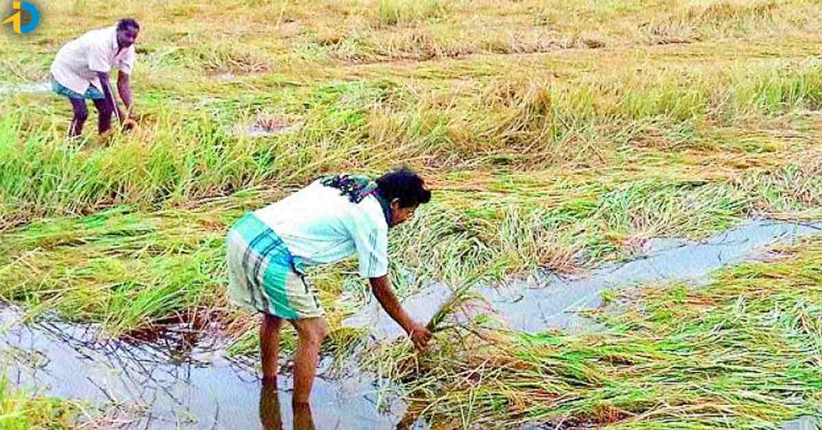 10000 for telangana farmers