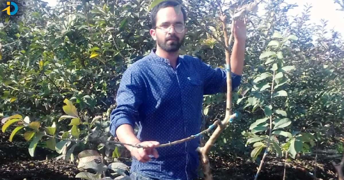 A farmer become a rich man