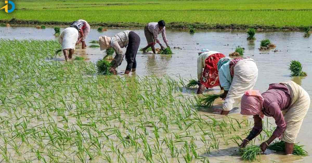 If farmers have this card, loan guarantee in lakhs