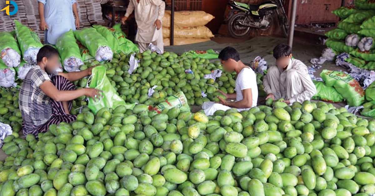 Mangoes