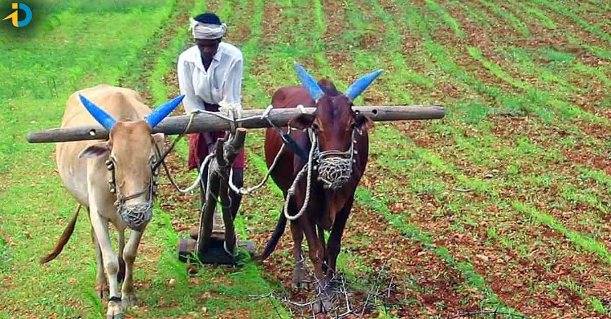 Minister tummala about rythu bandhu