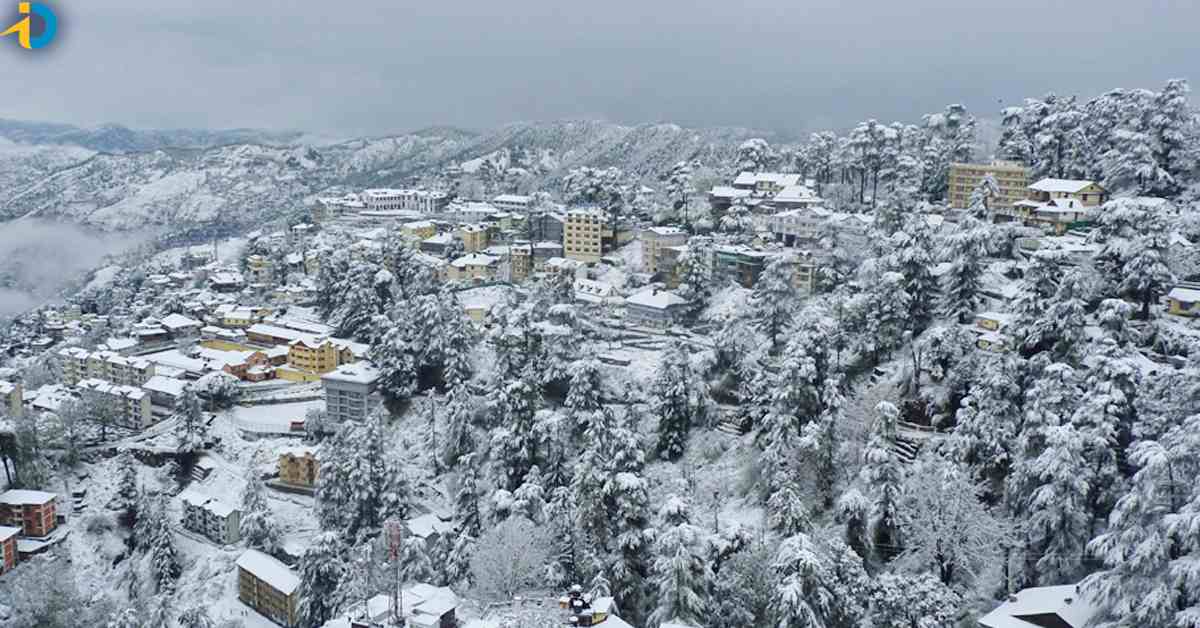 Shimla