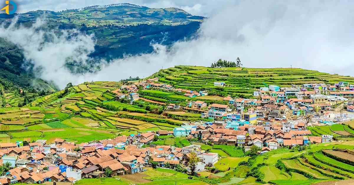 ooty