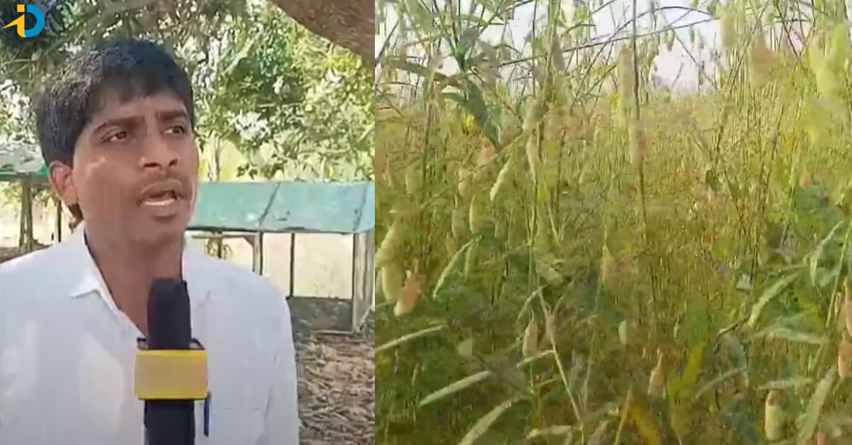 Good news for farmers with 7 thousand
