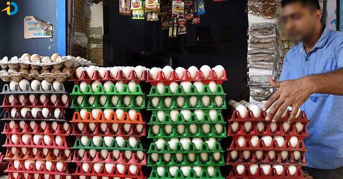 The price of chicken egg has gone up