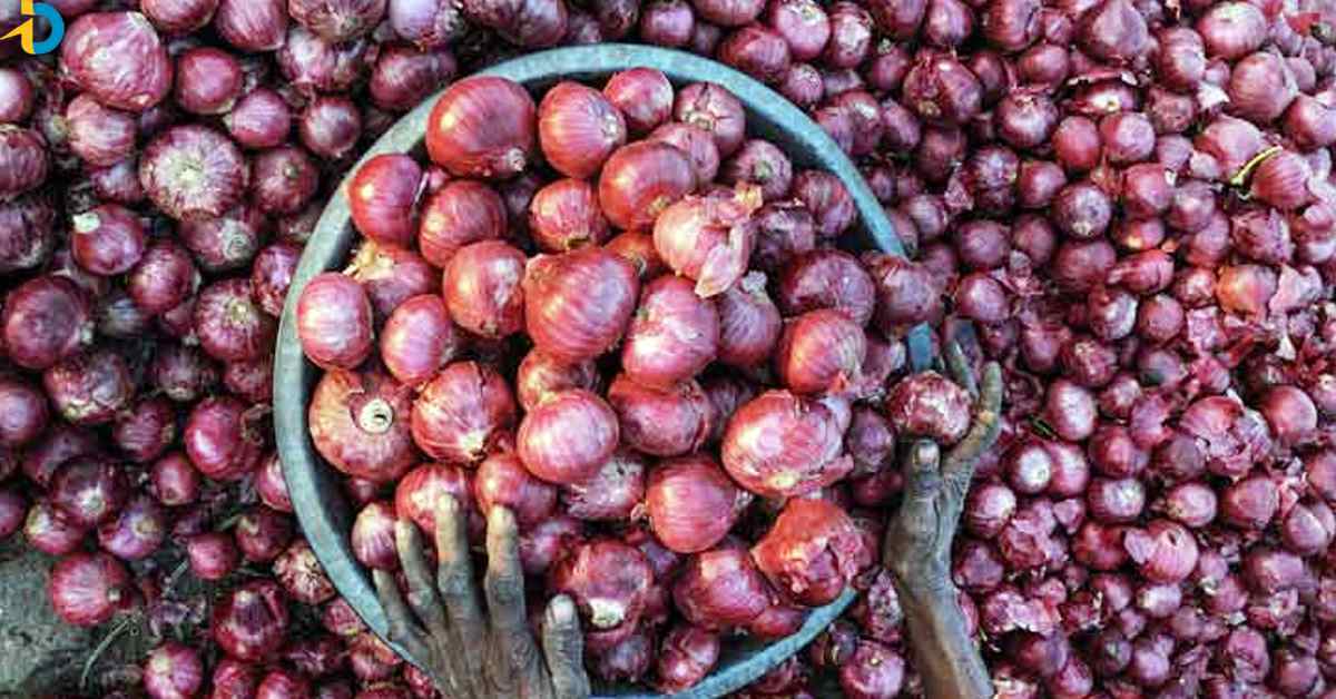 Onion prices are reduced