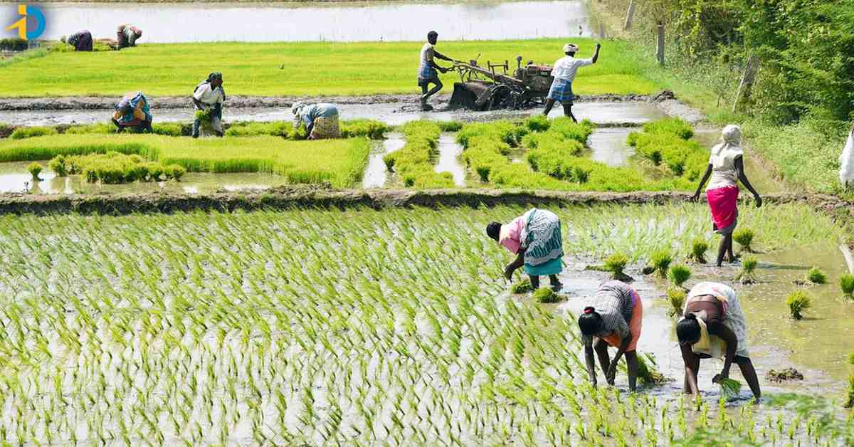 5 lakhs for farmers