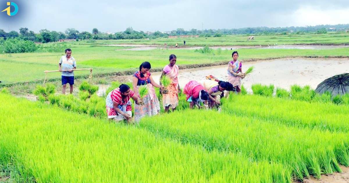 Farmers 