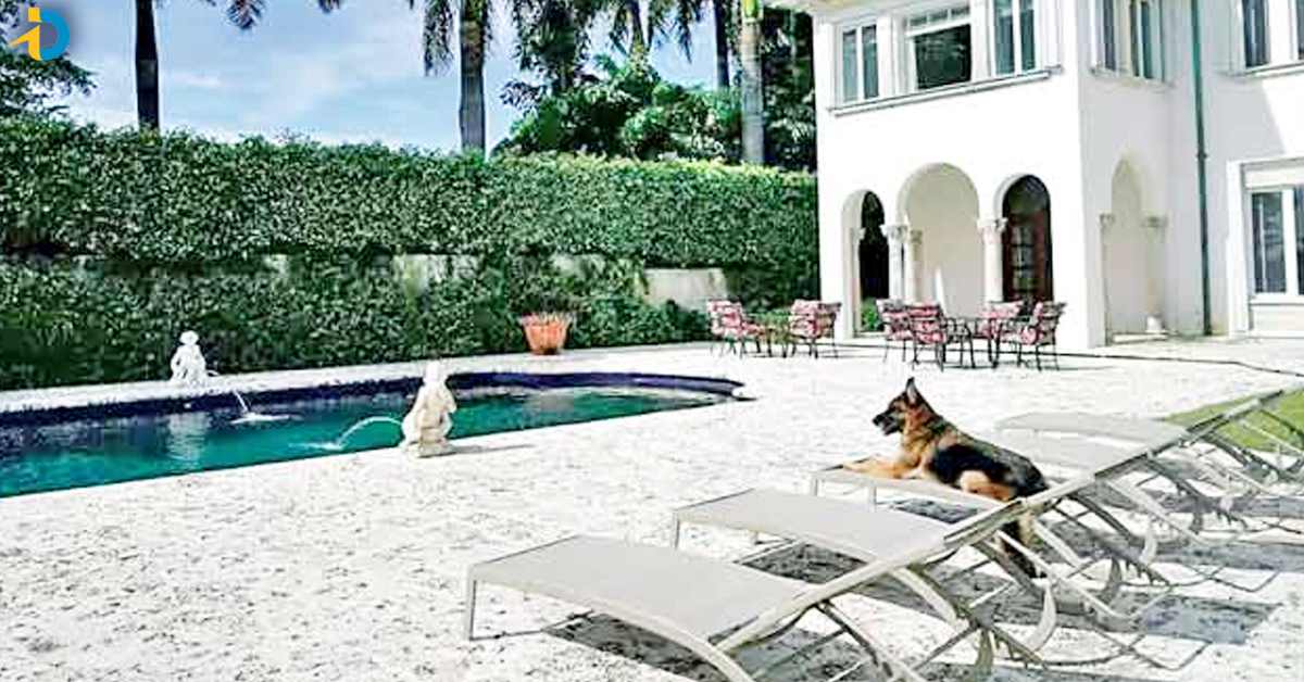 Dog property value 3300 crores