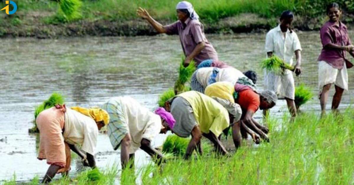Good news for Telangana farmers