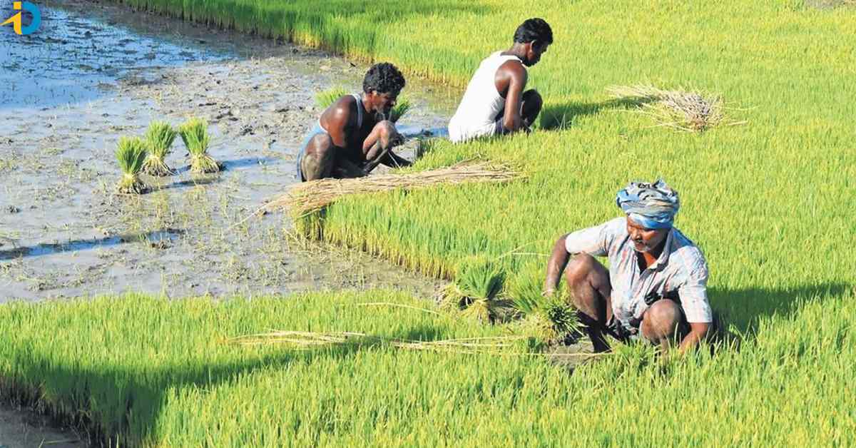 Loan waiver but good news for farmers