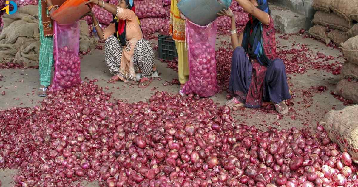 Onion prices will increase significantly!