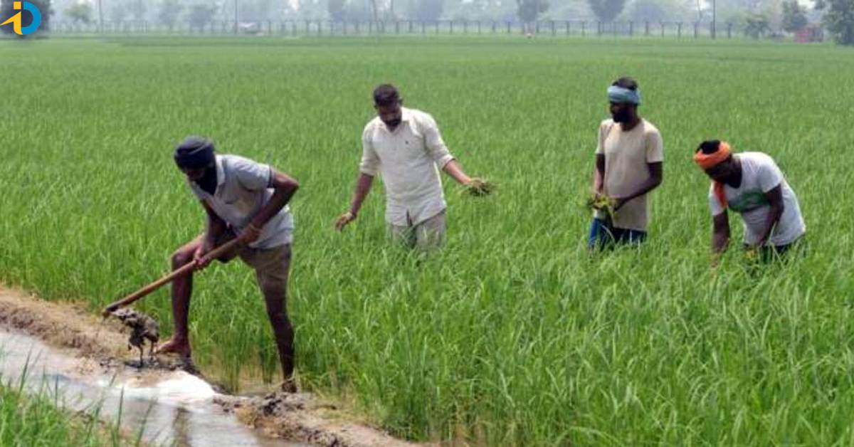The scheme that the center will give to the farmers