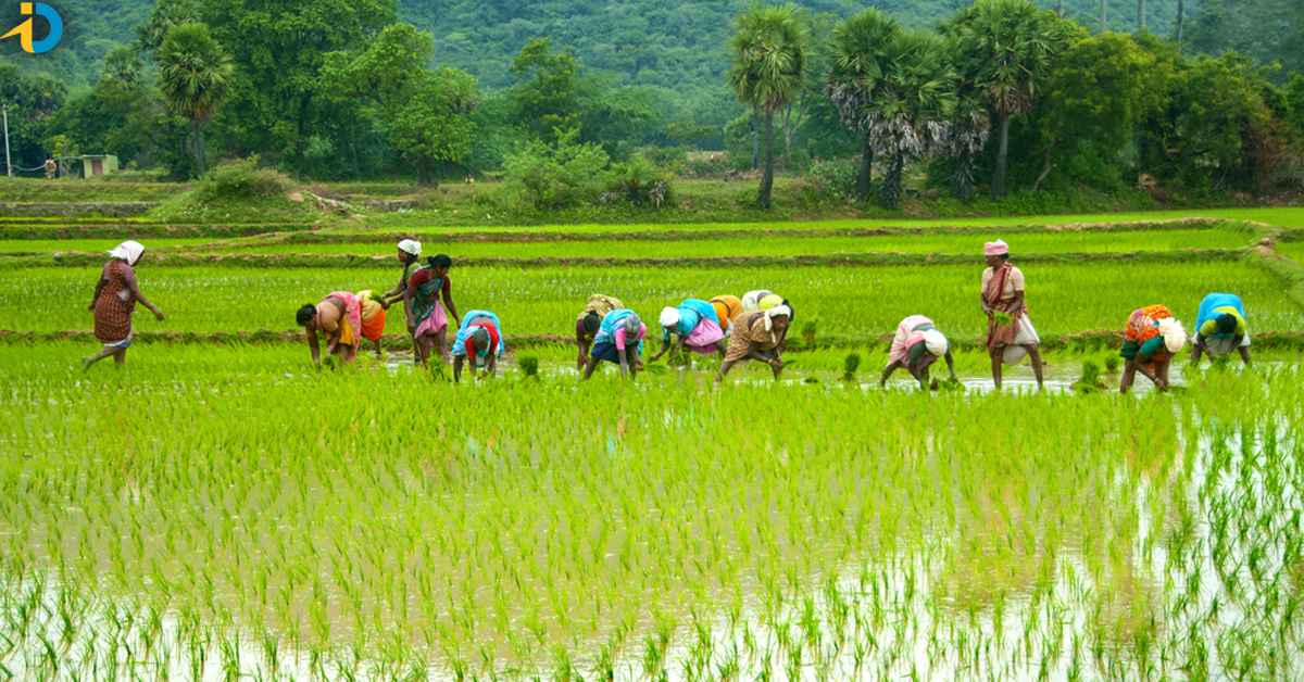 good news for telangana farmers