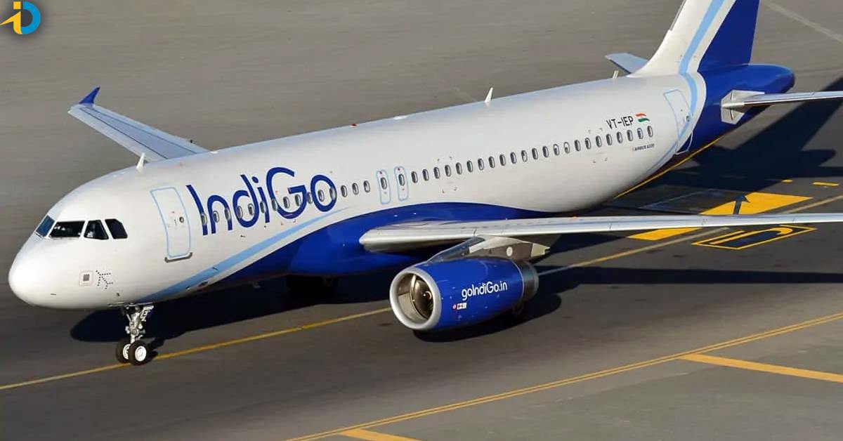 indigo flights special seats for womens