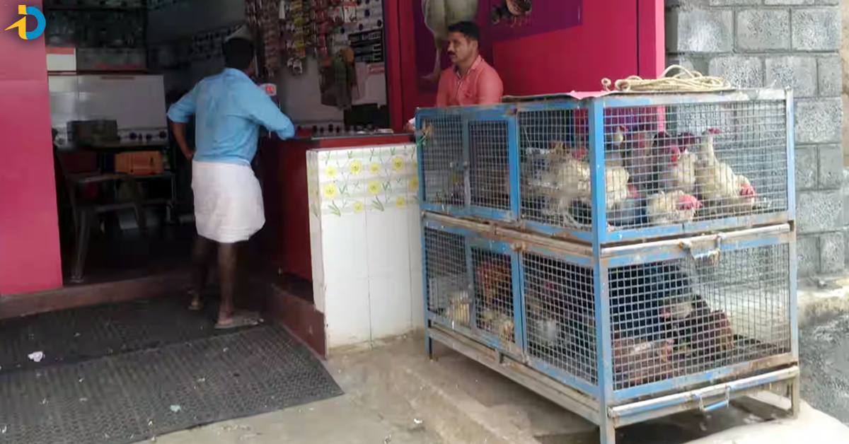 HYDలో భారీగా తగ్గిన చికెన్ ధరలు.. కిలో ఎంతంటే?