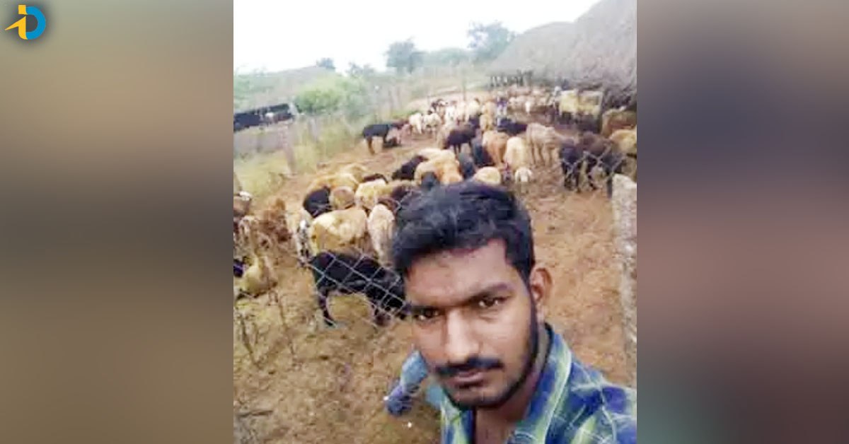గొర్రెల కాపరి నుంచి స్కూల్ అసిస్టెంట్ వరకు ఓ యువకుడి సక్సెస్ స్టోరీ!