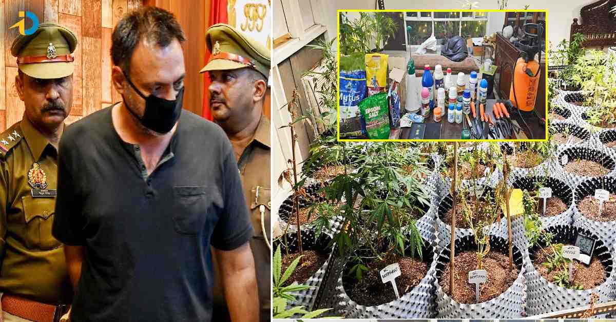 వెబ్ సిరీస్ చూసి ఇంట్లొనే గంజాయి పెంపకం.. ఆన్ లైన్లో అమ్మి లక్షలు సంపాదన..